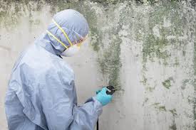 Why You Should Choose Our Mold Remediation Services in Fredericktown, OH